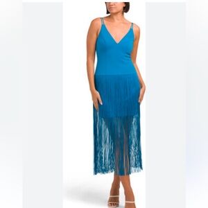 Adrianna by Adrianna Papell Women's V-Neck Fringe-Trim Crepe Dress, size 2, NWT